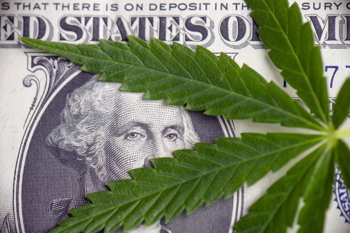 Is Hemp a Safer Way to Invest in the Cannabis Industry? 