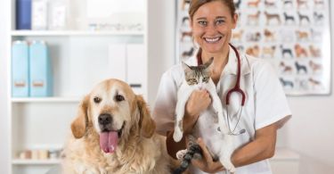 New Innovations To Watch in Veterinary Medicine