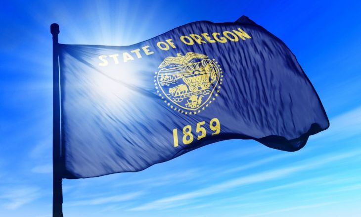 What Are the Most Popular US State Flags?