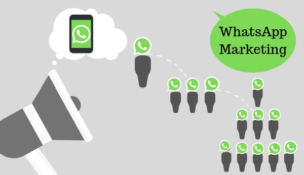 Top 5 WhatsApp Marketing Trends