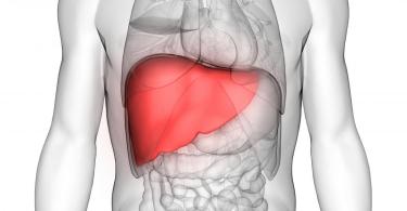 What is a Liver Transplant