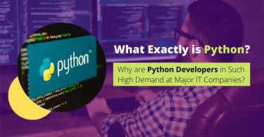 Why are Python Developers